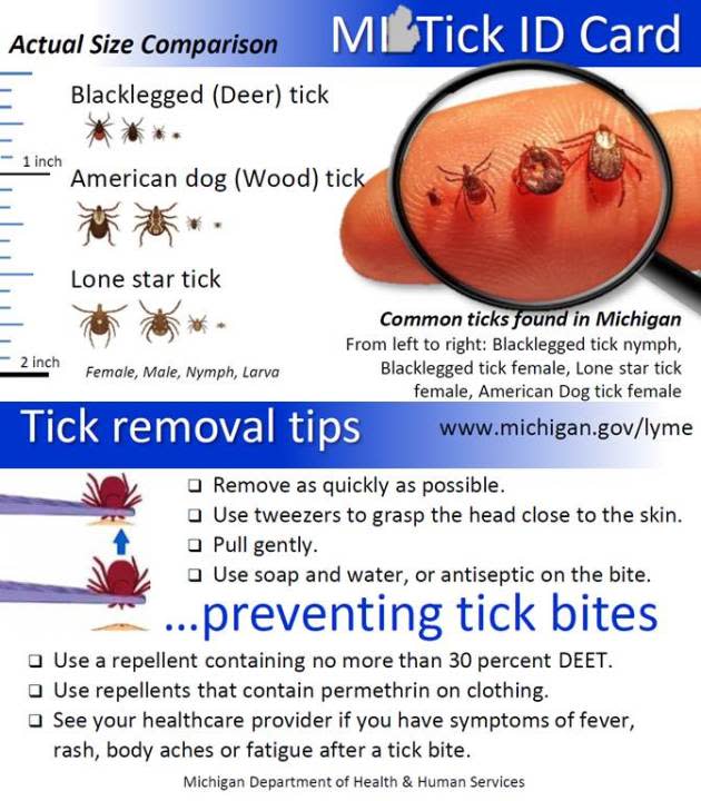 Removing and preventing ticks. Courtesy MDHHS