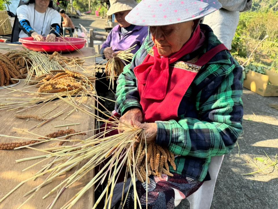 綠色和平研究團隊和志工一起走訪宜蘭、花蓮、台東、高雄4個縣市，訪問了數十個部落，學習每個部落種植小米的方式，以及田野調查氣候變遷對小米作物的影響。