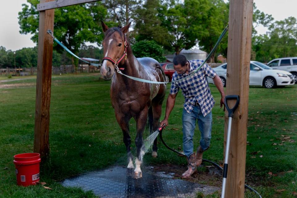 Harmon washes his racehorse, Roadrunner, on Wednesday, May 10, 2024.