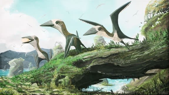 Size range of ten genera of pterosaurs used in this study with