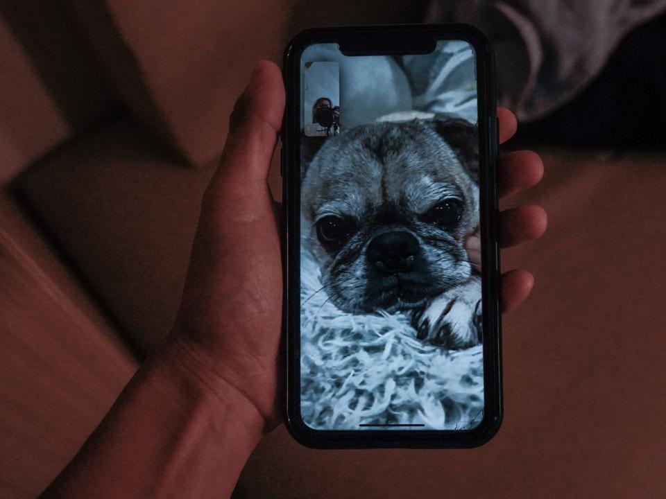 A pug on facetime in a dark room