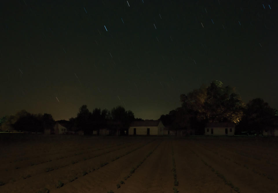 <p>Frogmore Plantation, Concordia Parish, Louisiana. (Photograph by Jeanine Michna-Bales) </p>