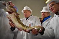 Britain's Prime Minister and Conservative Party leader Boris Johnson, center, visits Grimsby fish market in Grimsby, northeast England, Monday Dec. 9, 2019, ahead of the general election on Dec. 12. All 650 seats in the House of Commons are up for grabs Thursday when voters will pass judgement on a divisive election that will determine Britain's future with European Union. (Ben Stansall/Pool via AP)