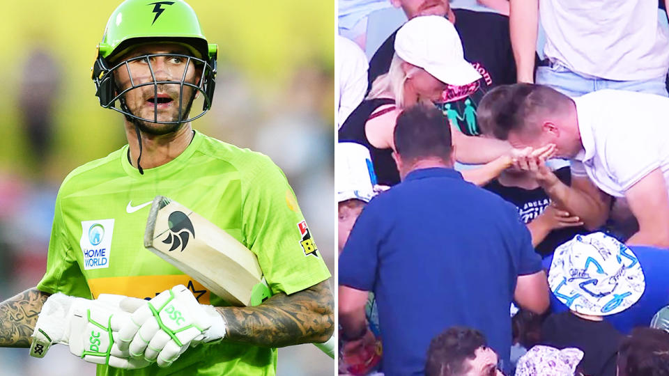 Alex Hales, pictured here after a spectator was struck in the face in the BBL.