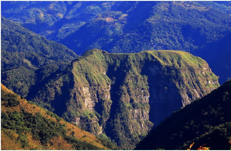 嘉義｜茶林山步道