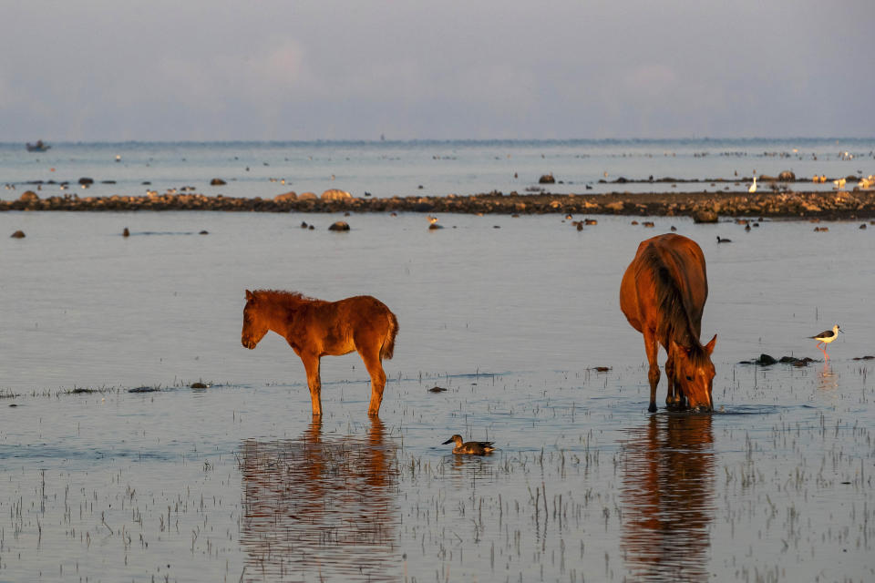 India Wetlands