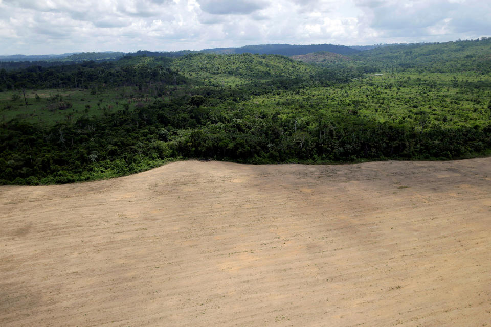 Brazil’s Amazon guardians