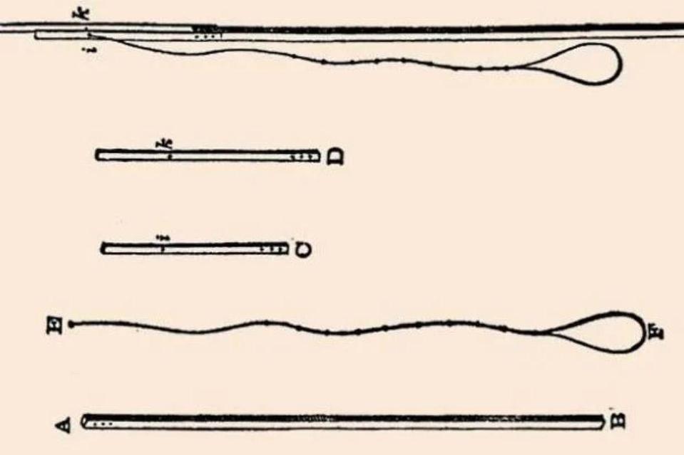 Dibujos del brazo largo