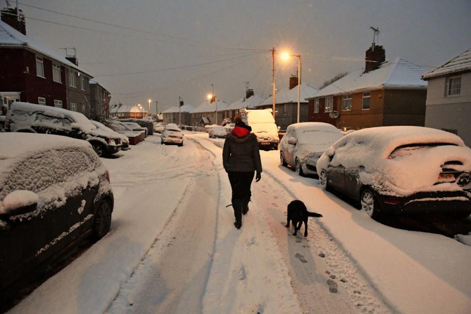 A dog walker in a street in Bristol (PA)