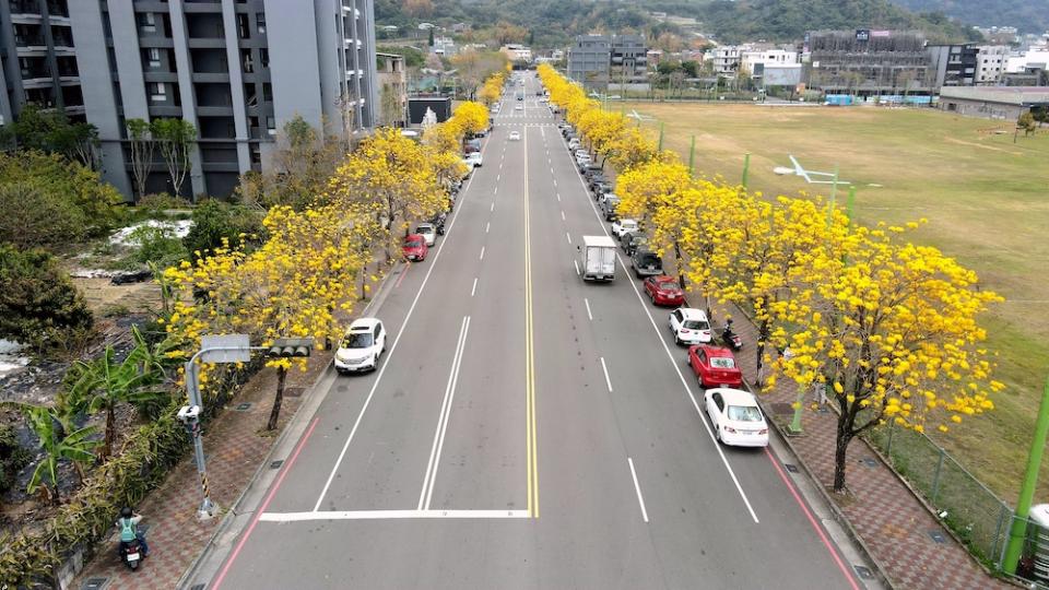 金黃絲帶沿路綻放（圖片來源：台中市政府建設局）