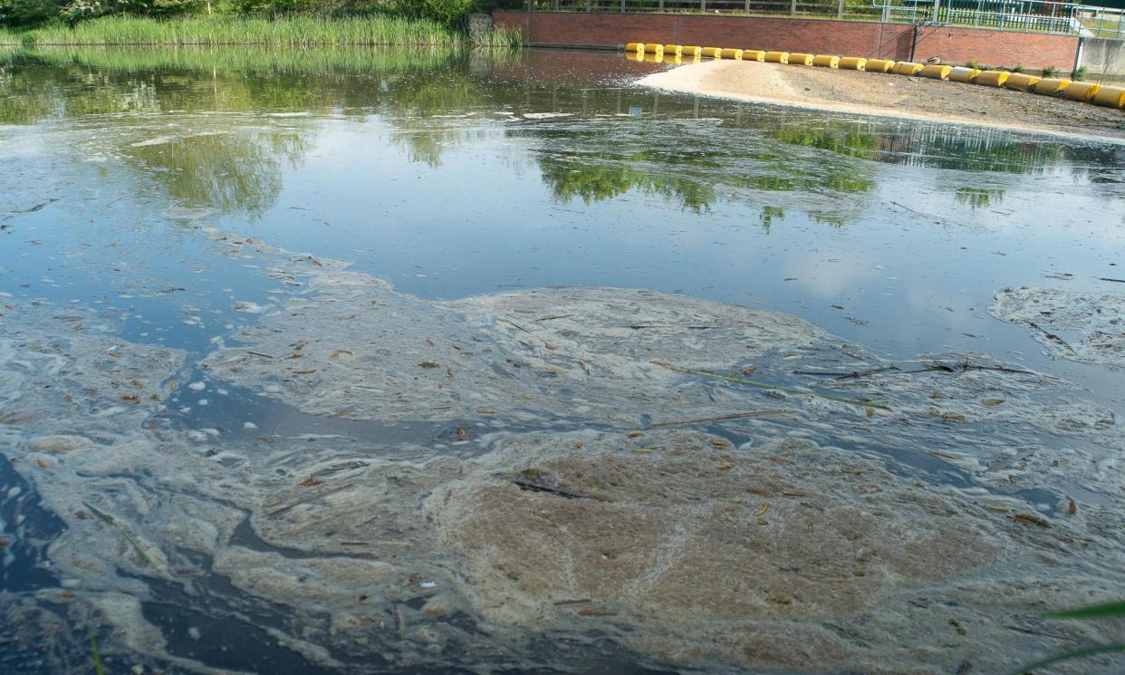 <span>Sewage and plant debris floats on the Jubliee River in Dorney Reach, Buckinghamshire on May 1, 2024. Thames Water were discharging sewage across the region earlier this week.</span><span>Photograph: Maureen McLean/Rex/Shutterstock</span>