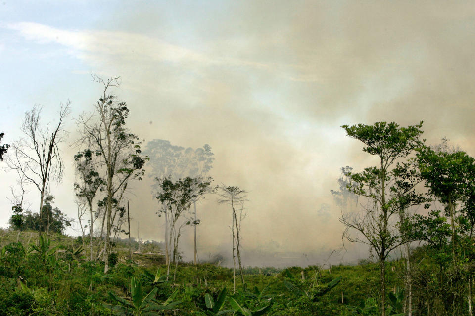 FILE - In This Wednesday, April 30, 2009 file photo, smoke billows from brush fire near Bukit Tiga Puluh natural forest in Riau, Sumatra island, Indonesia. Ten of the world’s most treasured forests and nature reserves, including those in Yosemite National Park in the United States and Sumatra’s tropical rainforest in Indonesia, have gone from being net consumers of heat-trapping carbon dioxide in the atmosphere to net generators of it, a new U.N.-backed report shows. The first of its kind study by the International Union for Conservation of Nature and UNESCO cited factors like logging, wildfires and clearance of land for agriculture. (AP Photo/Achmad Ibrahim, File)