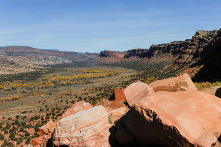 Comb Wash cuts from north to south through Cedar Mesa in Bears Ears National Monument near Blanding, Utah, U.S., October 27, 2017. REUTERS/Andrew Cullen/Files