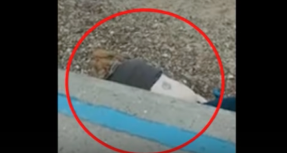 Couple caught having sex 'in front of families' at Clacton-on-Sea beach (video)