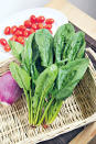 素食者多吃深綠色蔬菜可補充鐵質，營養師亦建議進食含維他命C食品，增加植物性鐵質的吸收。（資料圖片）