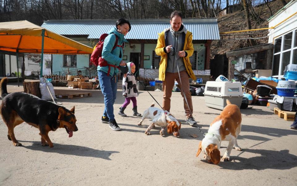 A family visit the 'Home for Rescued Animals' shelter to walk with dogs in the western Ukrainian city of Lviv on March 26, 2022. - Aleksey Filippov/AFP