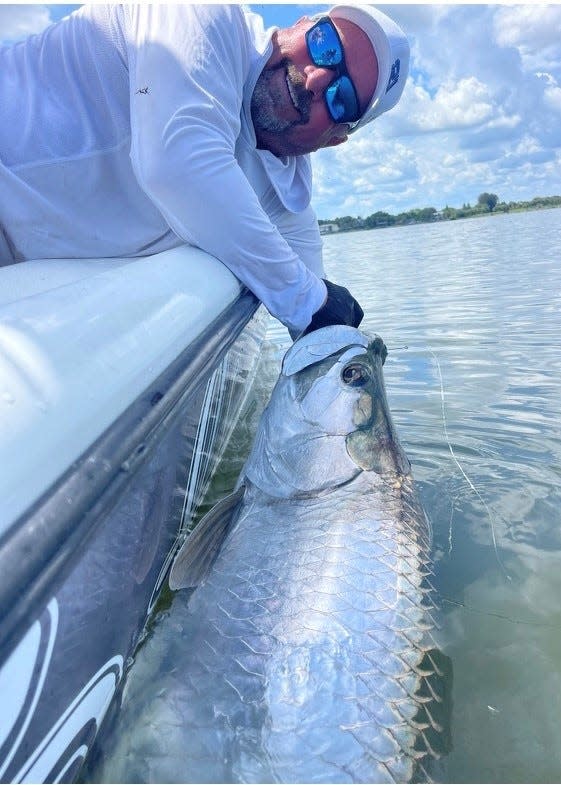 Tarpon are still hanging around, with plenty seen recently in the New Smyrna Beach area.