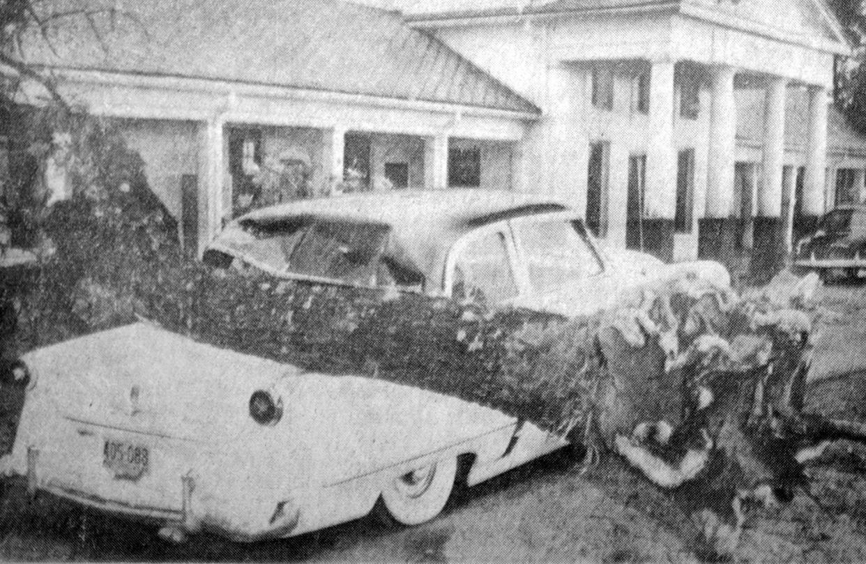 A large tree lies balanced across the smashed rear of a new model automobile owned by Miss Bobbie Brewer, a Fayetteville Observer reporter. The car was parked at the Highway patrol headquarters on Lumberton Road, where Miss Brewer was checking patrol radio reports during Hurricane Hazel.