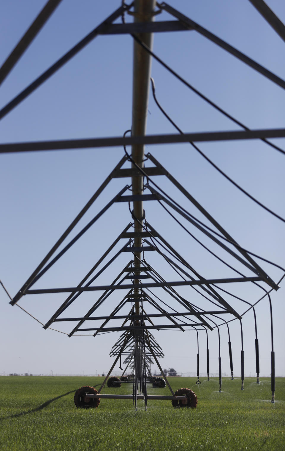 Water is being applied to a wheat field at Tim Black's Muleshoe, Texas, farm on Monday, April 19, 2021. The longtime corn farmer now raises cattle and plants some of his pasture in wheat and native grass – and rations water use -- because the Ogallala Aquifer is drying up. (AP Photo/Mark Rogers)