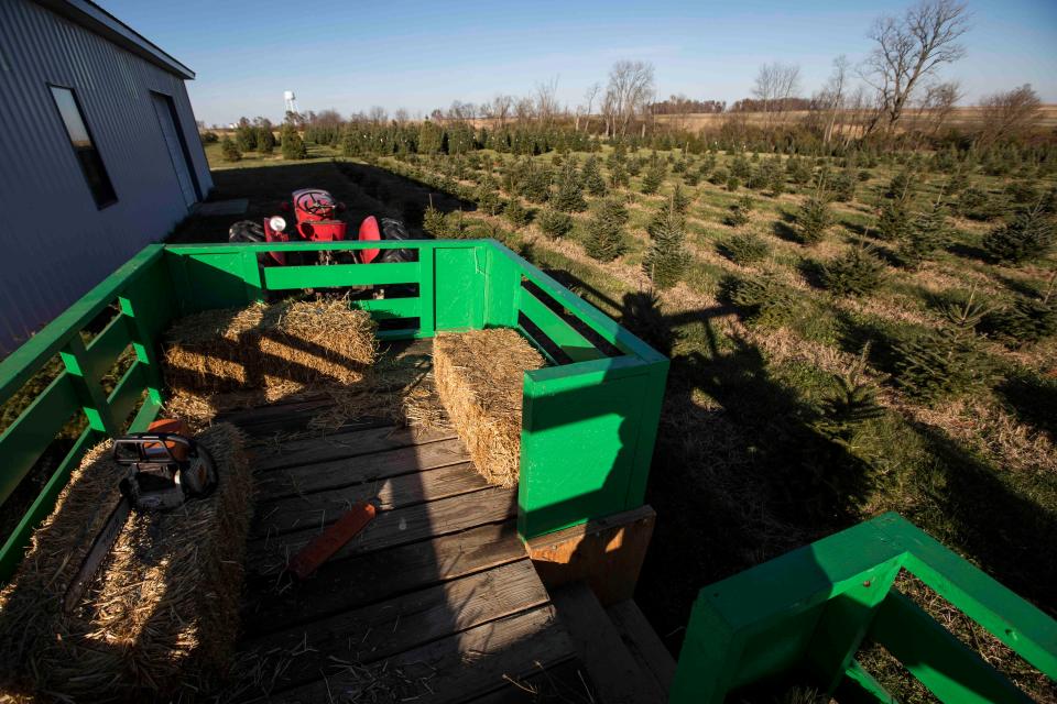 Reservations are required at Koch Christmas Trees.