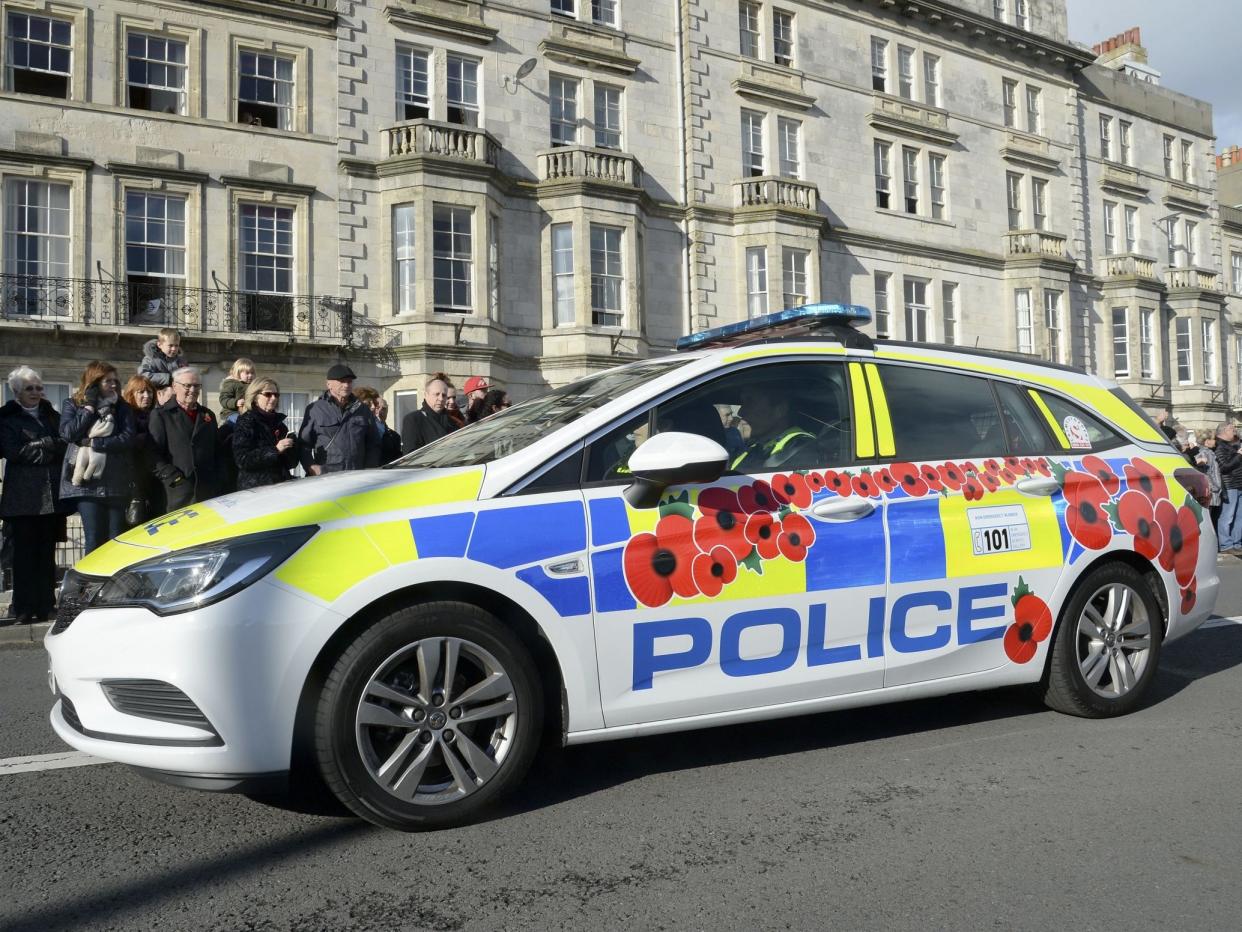 A police car in Dorset last year. Has it all gone too far?: Rex