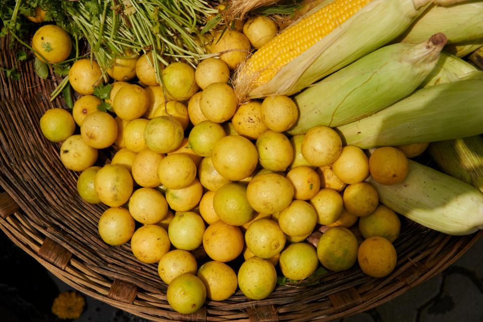 A group of lemons and corn on a basket.