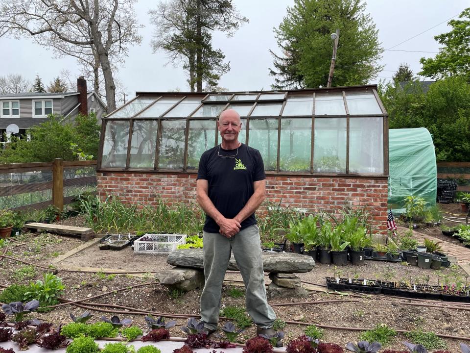 Chris Mumford sells seed-grown vegetables and herbs from his home garden business, Hay Mumford.