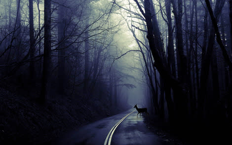 The Dark Road