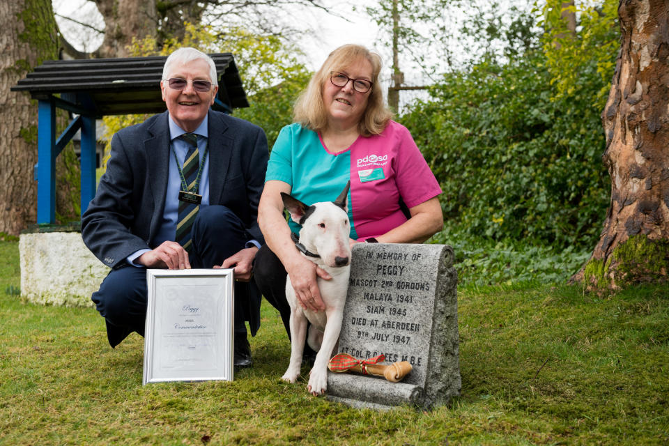 Gordon Highlanders Museum Historian Stewart Mitchell , who nominated Peggy for the award, with PDSA vet Fiona Gregge and bull terrier Billy, who accepted it on Peggy's behalf. (Picture: PDSA/Richard Frew/Newsline Media)  