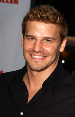 David Boreanaz at the Los Angeles premiere of 20th Century Fox's Dodgeball: A True Underdog Story