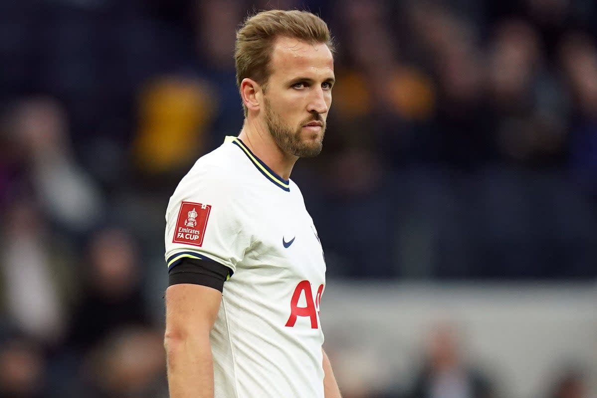 Harry Kane scored the winning goal for Tottenham (Adam Davy/PA) (PA Wire)