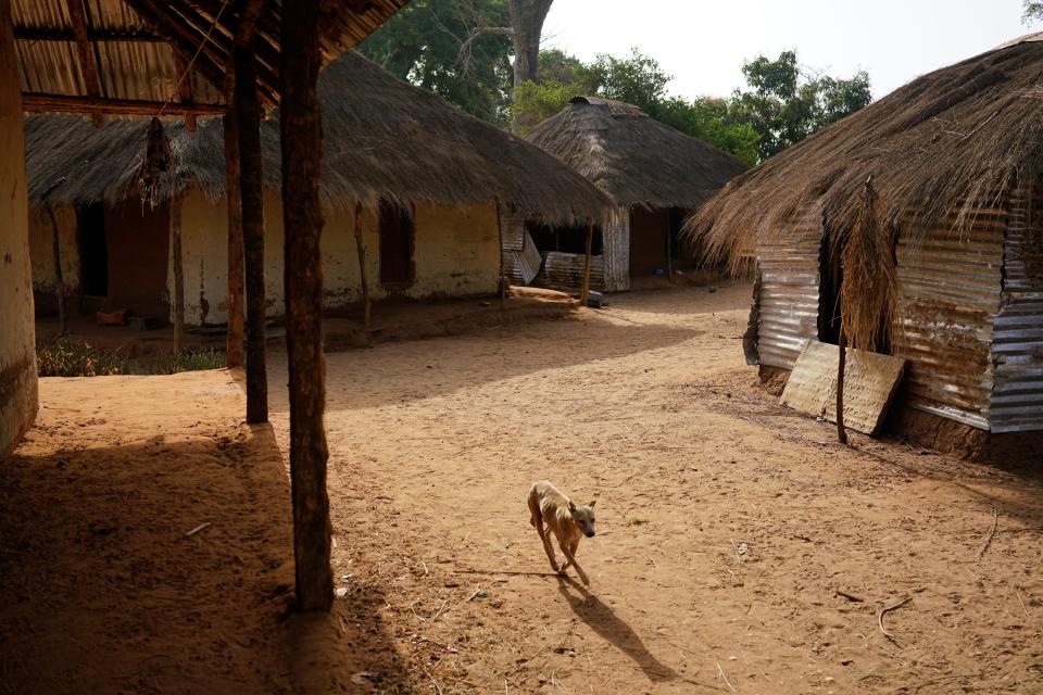 <p>Auch in Guinea-Bissau ist Korruption weit verbreitet. Zum größten Problem ist der Drogenhandel für das westafrikanische Land geworden, in den hochrangige Militärs verwickelt sind. Hier kommt regelmäßig geschmuggeltes Kokain aus Lateinamerika für den europäischen Markt an Land. </p>