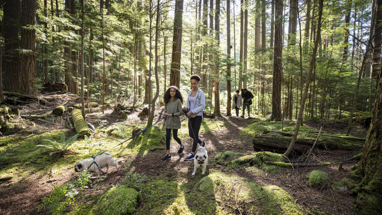  Two girls walking dog: best dog walks in the US. 