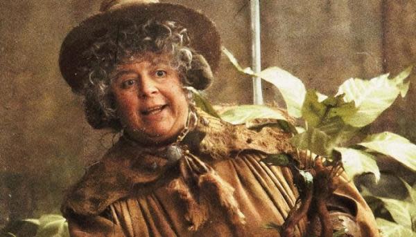 Miriam Margolyes en Harry Potter (Imagen: The Independent)