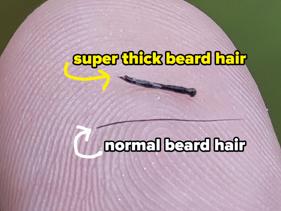 the thick beard hair put up against a regular beard hair and it's so much thicker