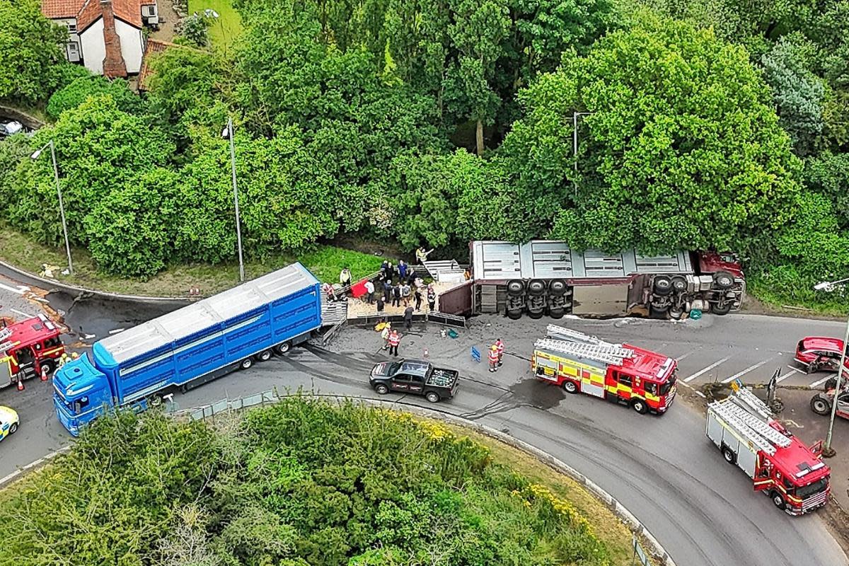 Six pigs were killed after a lorry overturned near the Norfolk-Suffolk border <i>(Image: Shaun Button)</i>