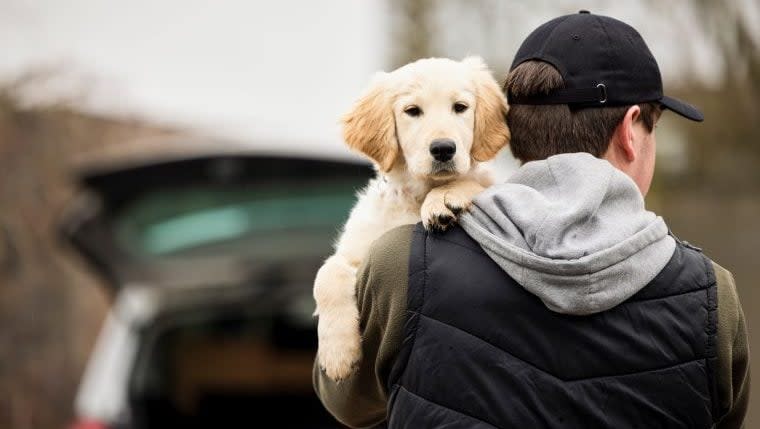 Thief Steals Child With Autism’s Support Dog