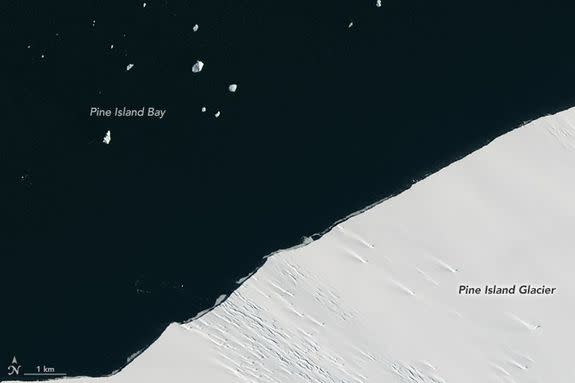 Pine Island Ice Shelf shown before the iceberg broke off on Jan. 24, 2017.