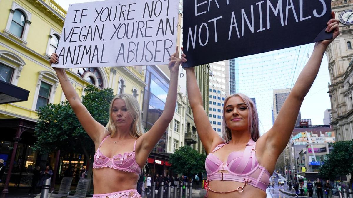 Tash Peterson: Vegan activist wears purple lingerie for third