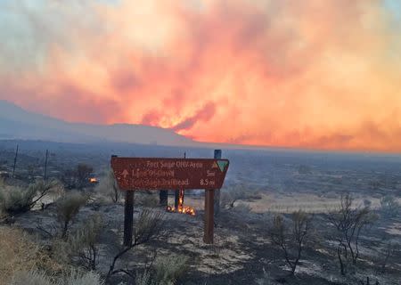 Charred grasslands remain after the Long Valley fire came through the Fort Sage Off-Highway Vehicle Area. Bureau of Land Management California/via REUTERS