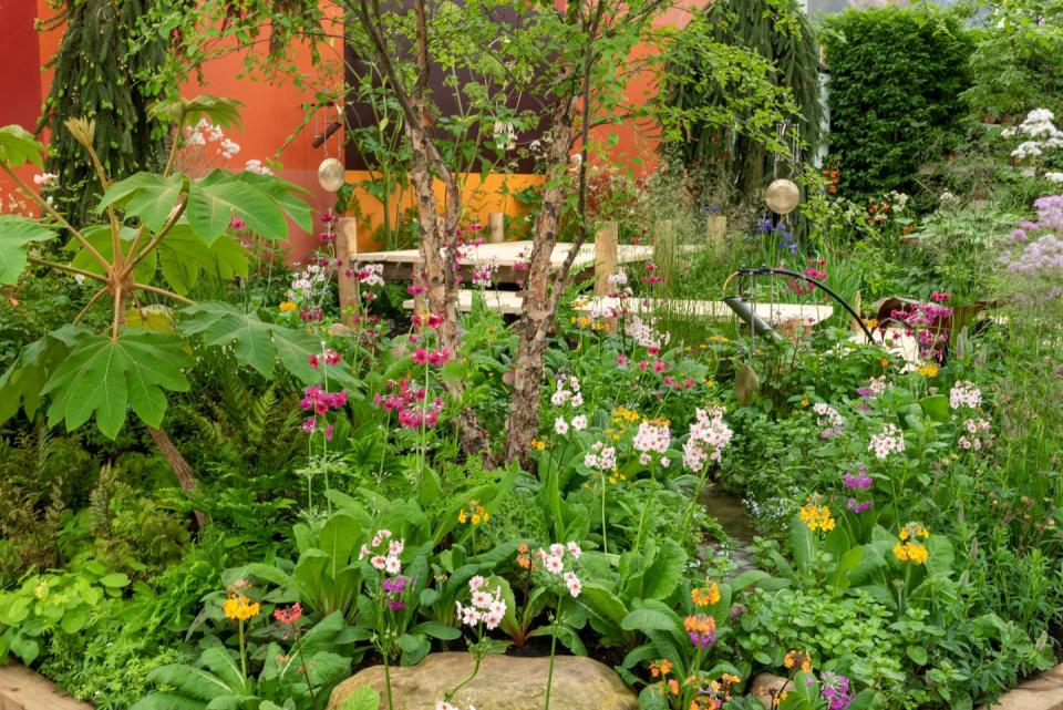 chelsea flower show 2023 – all about plants