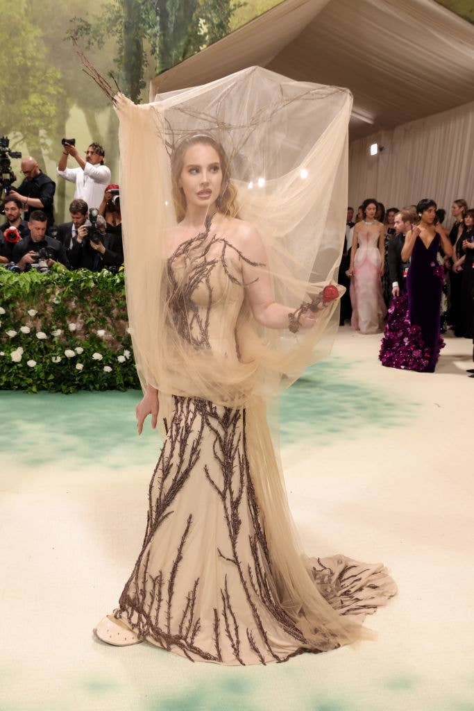 Lana in a sheer gown with branch-like designs, attending an event with observers in the background