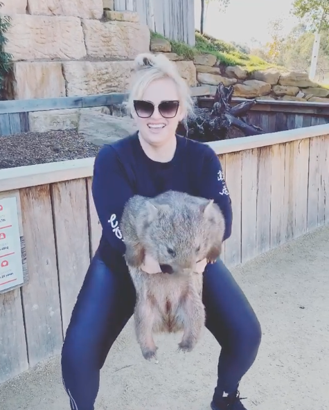 Rebel Wilson dead lifts wombat at Sydney Zoo 'appalling' Instagram video