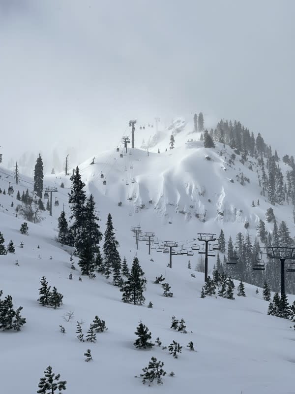 'The Fingers', prior to opening, as seen from the KT-22 lift line. (8:00am, March 4, 2024)<p>Powder Magazine/Matt Lorelli</p>