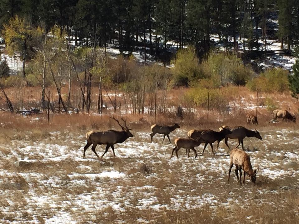 Tim Viall explores Rocky Mountain and Mesa Verde national parks for his latest column.