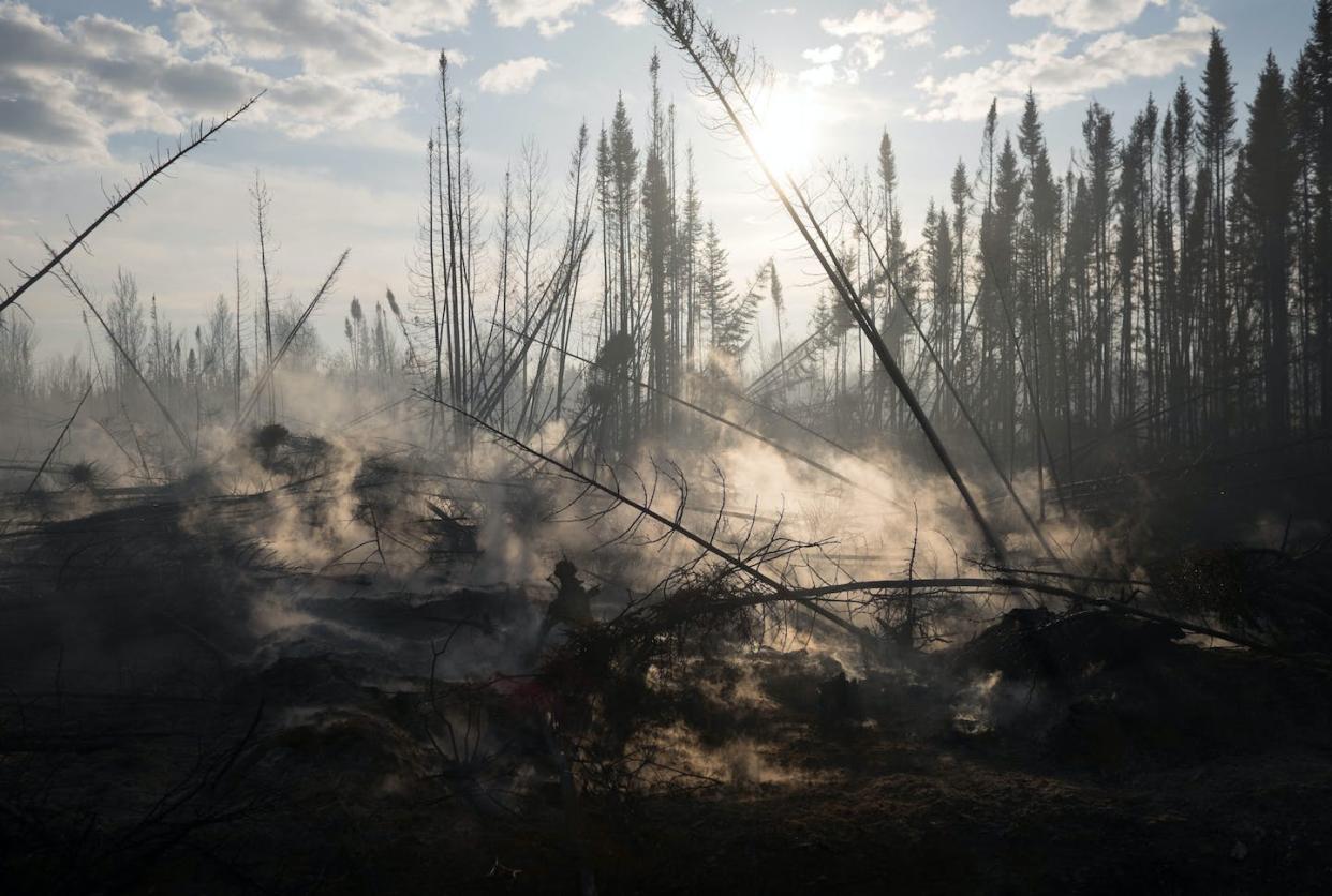 Smouldering fire in a drained peatland near Fort McMurray, Alta. produces smoke from underground. These ecosystems are affected by rising temperatures, drought, wildfire and various human actions including drainage. (Leyland Cecco), Author provided