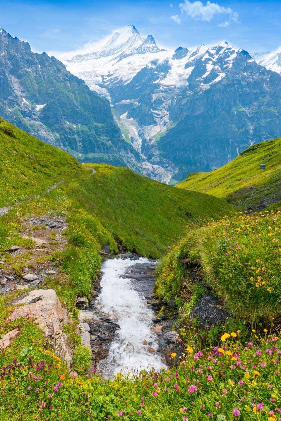 walk through grindelwald