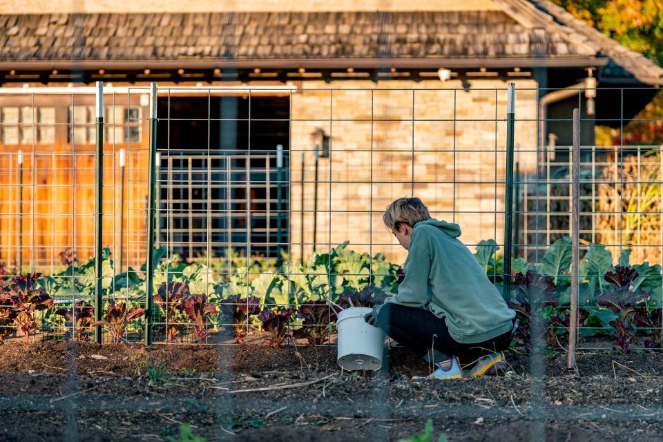 A student spreads compost at Furman University's farm.