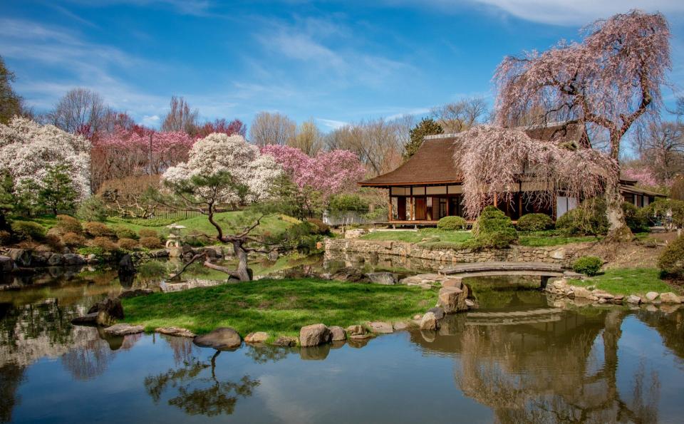 Located in Philadelphia’s Fairmount Park, the Shofuso Japanese Cultural Center features a traditionally landscaped garden accented with blossoming cherry trees in spring, a highlight of the annual Subaru Cherry Blossom Festival.