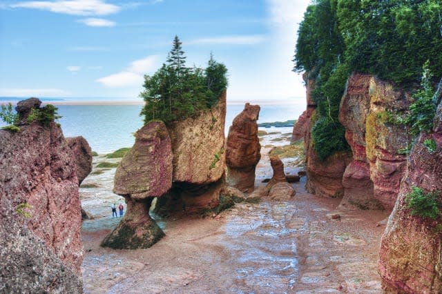 Lovers Arch and Bear Rock sea stacks with incoming tide at Hopewell Rocks, Bay of Fundy, Hopewell Cape, New Brunswick, Canada